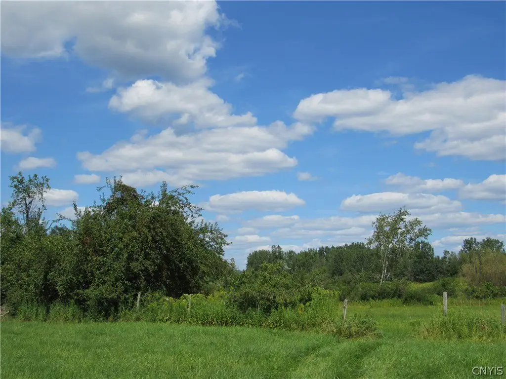 Picture 24