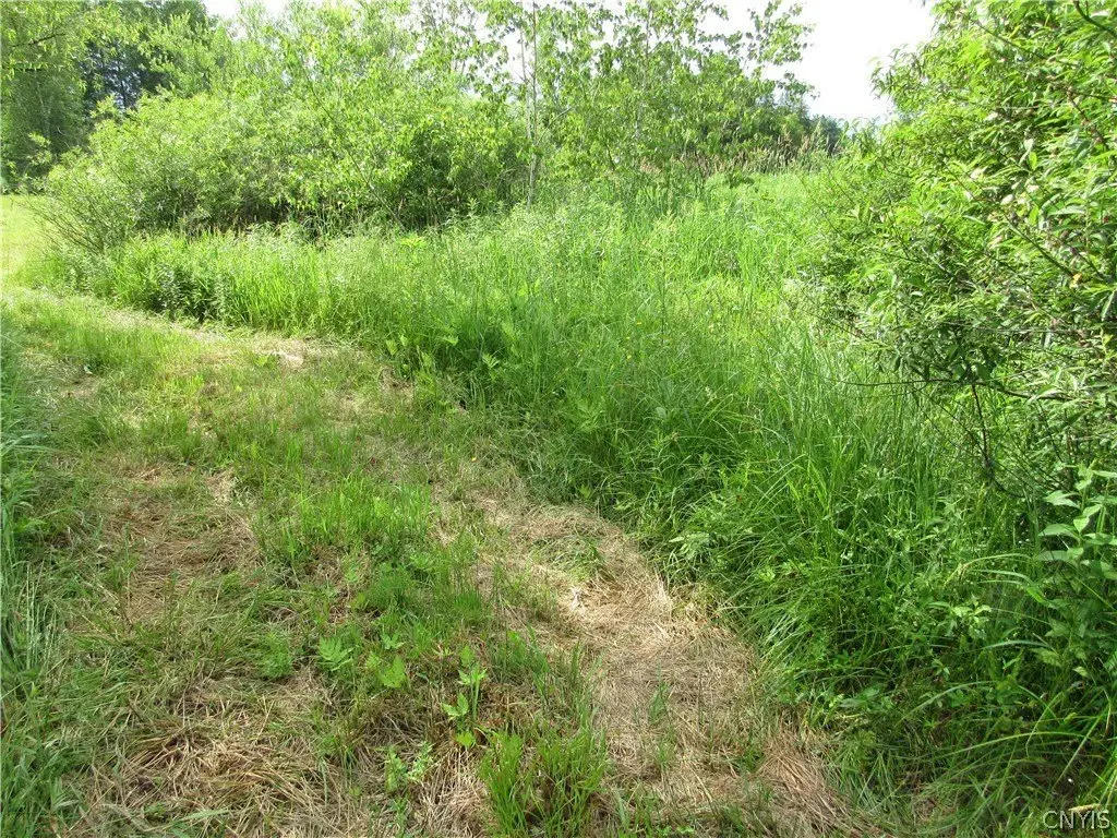 Picture 18