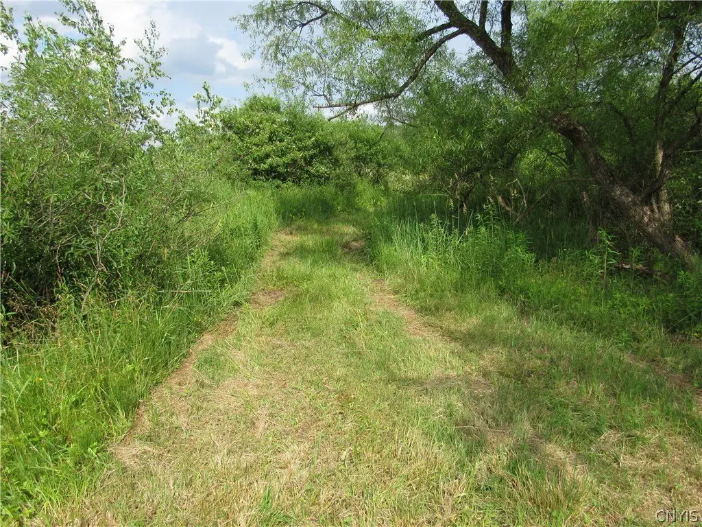 Picture 20