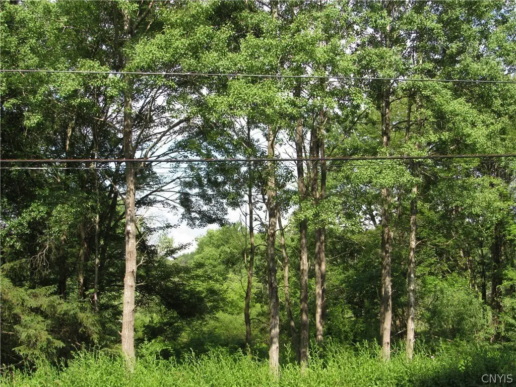 Picture 22