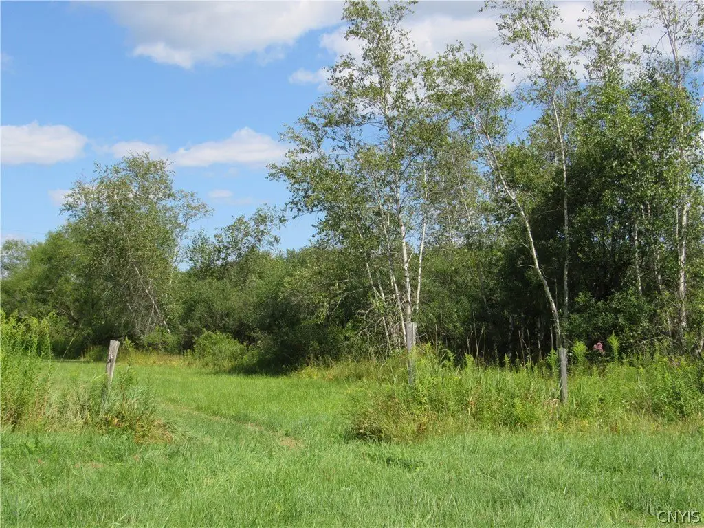 Picture 25