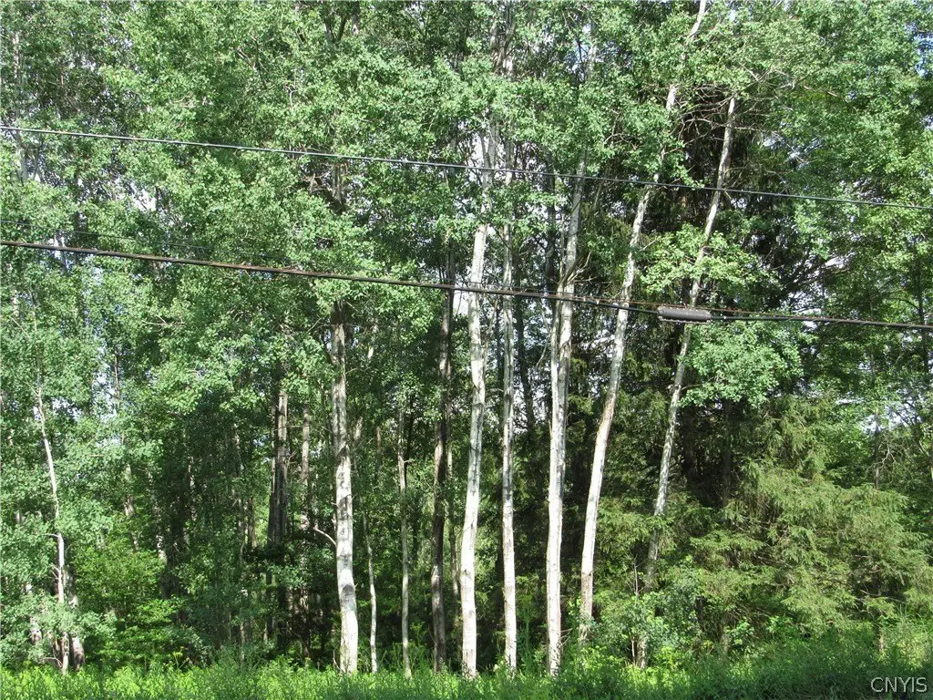 Picture 21