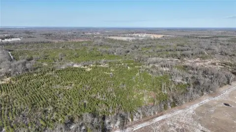 80 Acre Ranch Tract - Bagwell