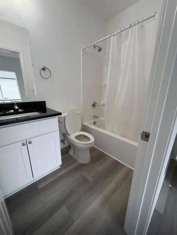 Picture 7