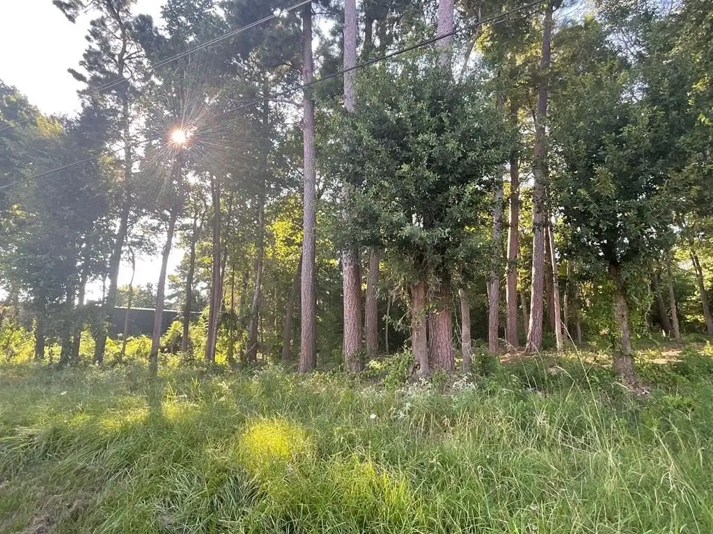 Picture 6