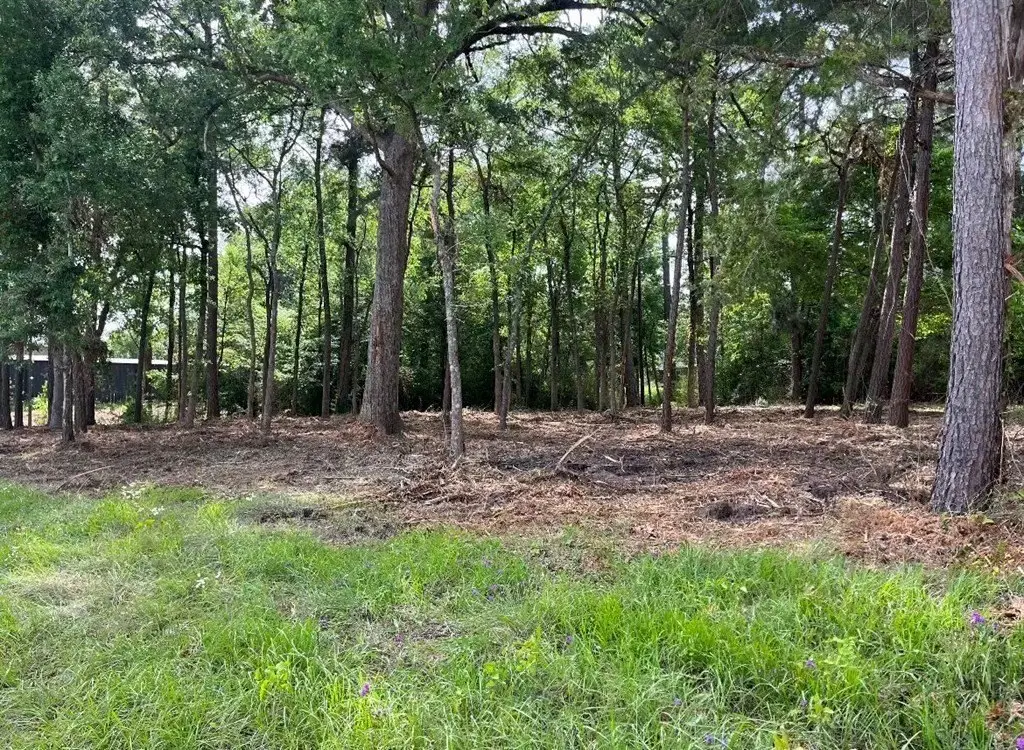 Picture 15