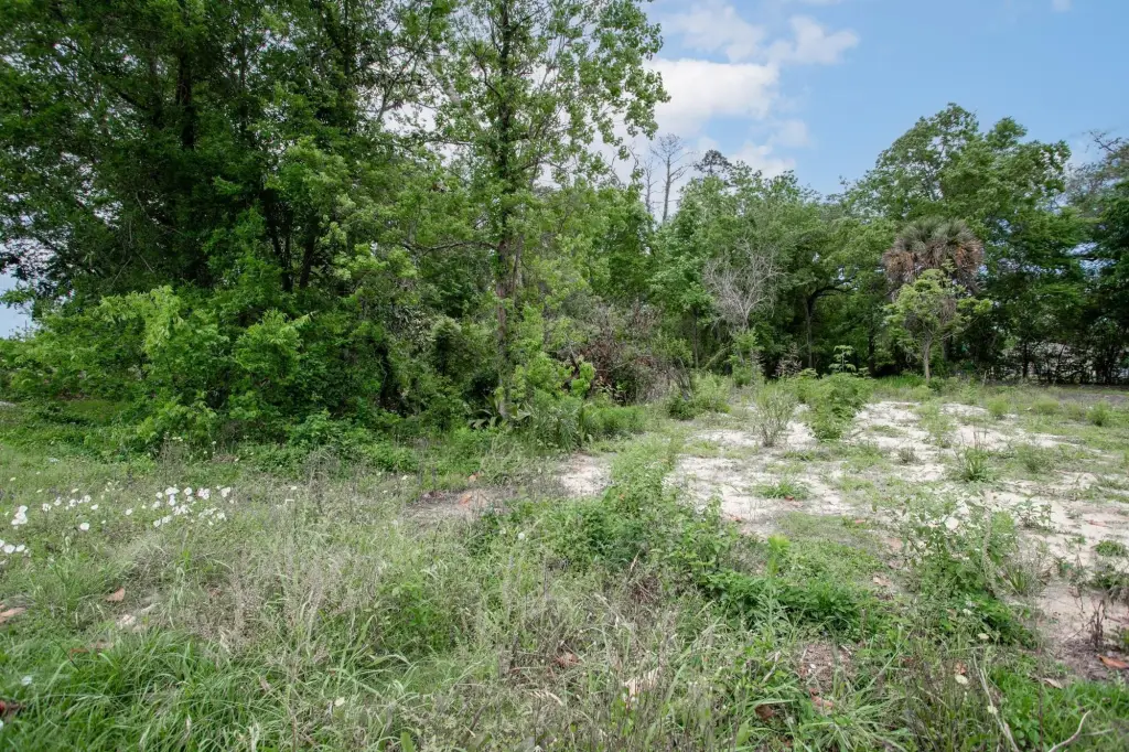 Picture 9