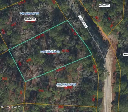Wooded Lot in Gated Community