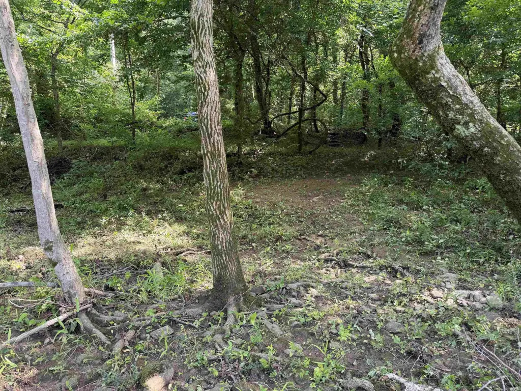 Picture 15