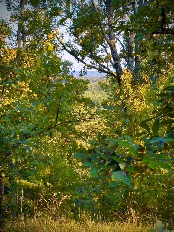 Picture 24
