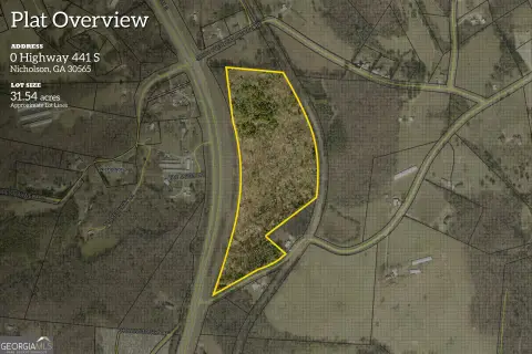 Commercial Acreage on Highway 441