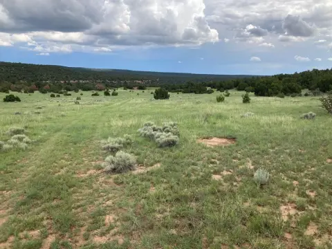 3.38 Acre Rowe Land Parcel