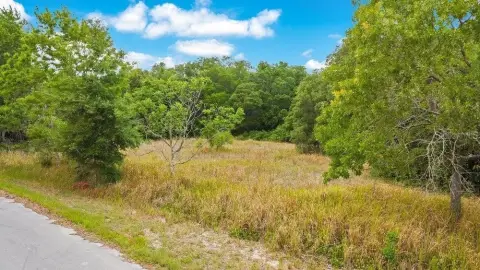 Residential Land in Ocala, FL