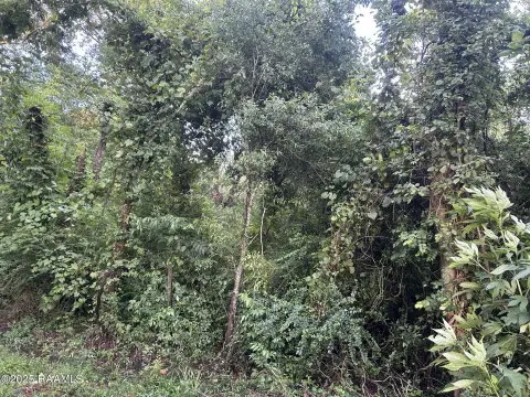 18.45 Acres in Belaire Cove