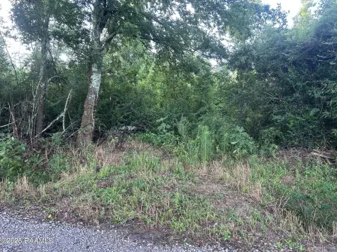 21.99 Acres in Belaire Cove