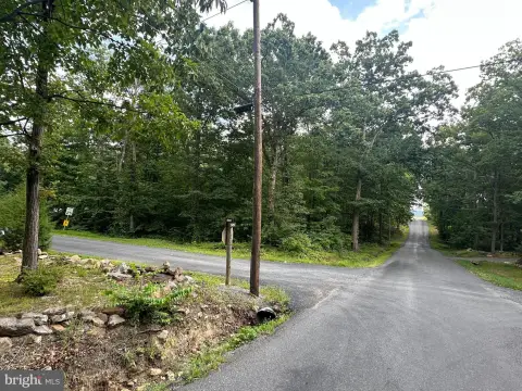 Wooded Corner Land