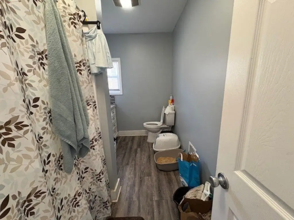 Picture 22