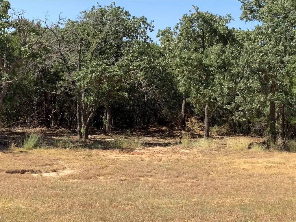 Picture 16