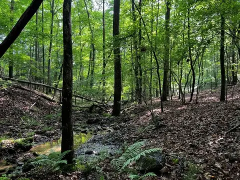 Blairsville Mountain Property For Sale