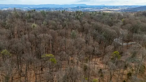 Wooded Land in Timberville