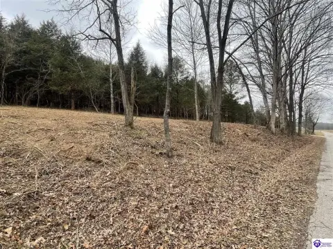 Land for Future Homesite