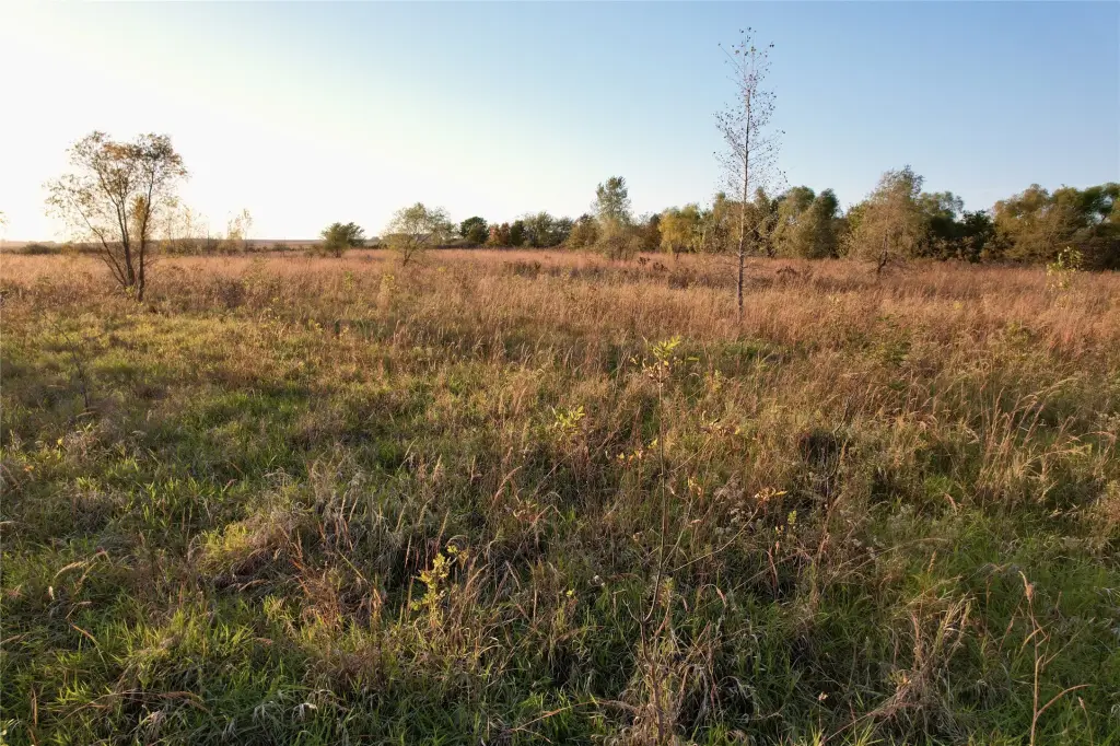 Picture 13