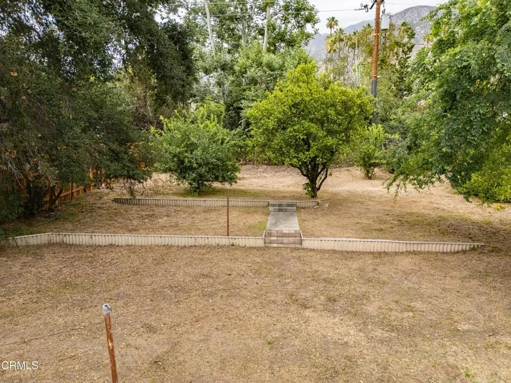 Picture 17