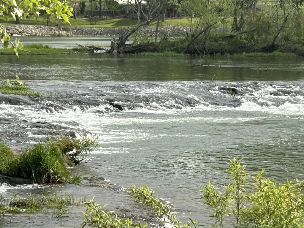 Picture 42