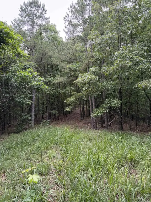 Picture 17
