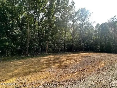 Wooded Lot in Lewisburg District