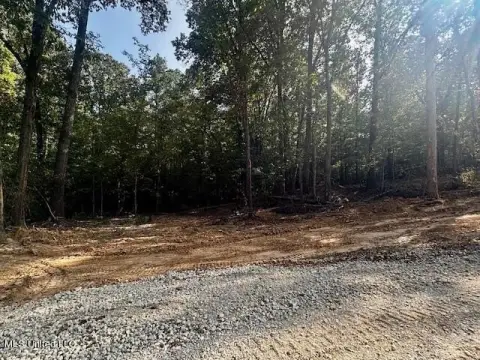 Wooded Lot in Lewisburg District