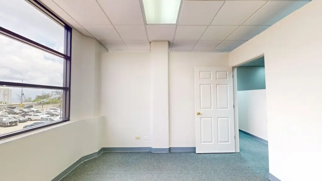 Picture 23