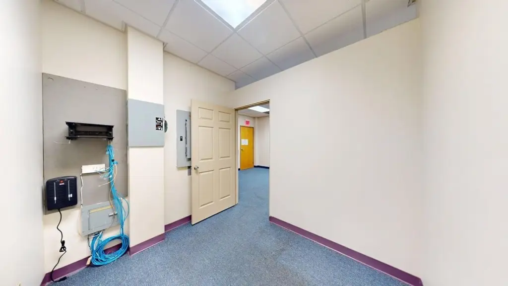 Picture 5