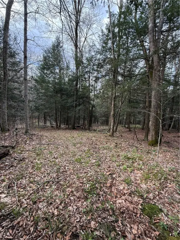 Picture 3