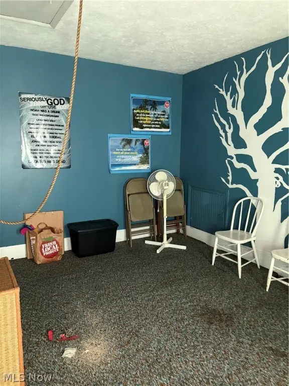 Picture 23