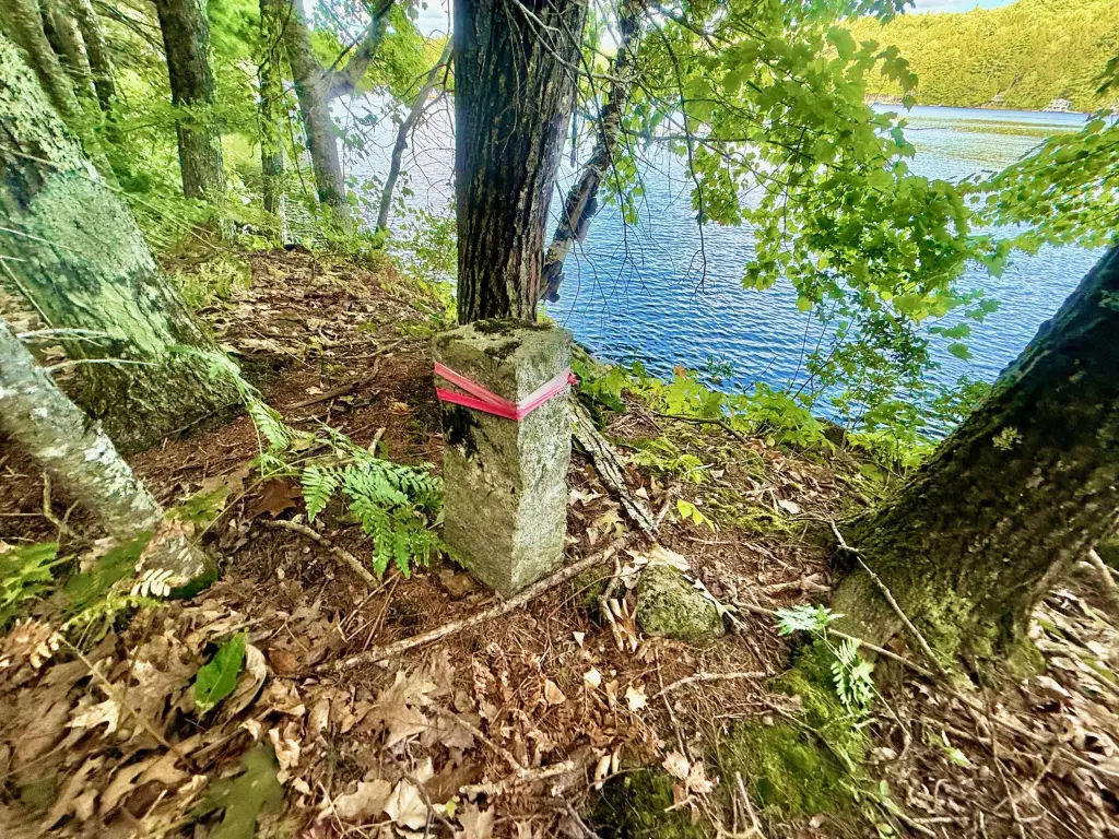 Picture 21