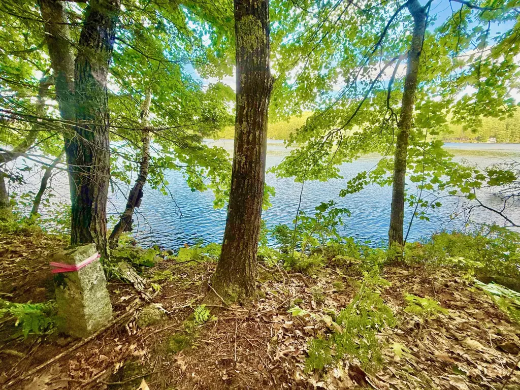 Picture 19