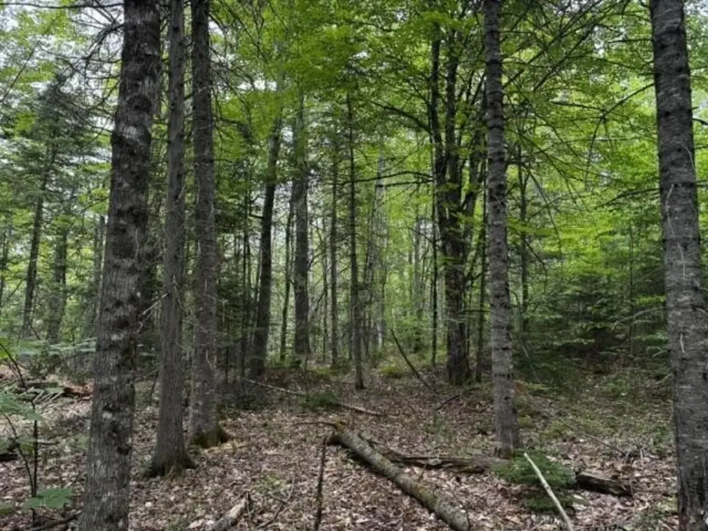 Picture 13