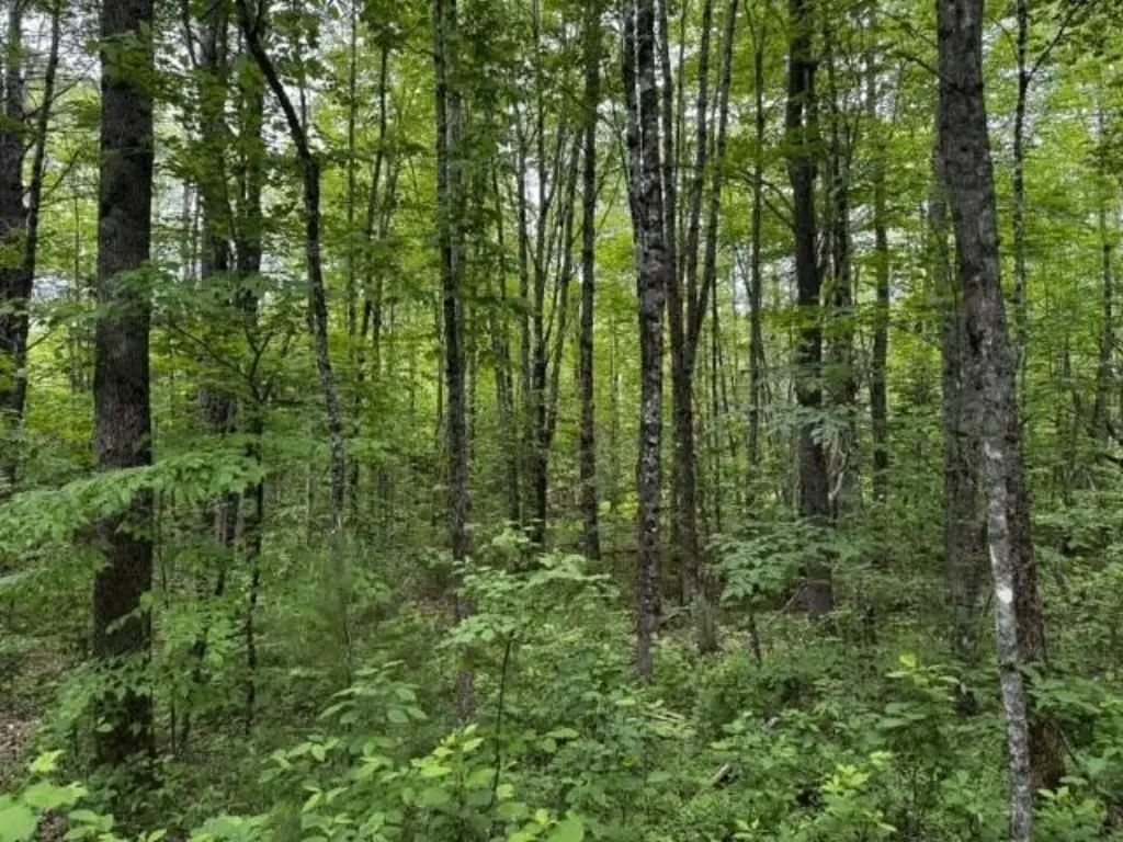 Picture 11