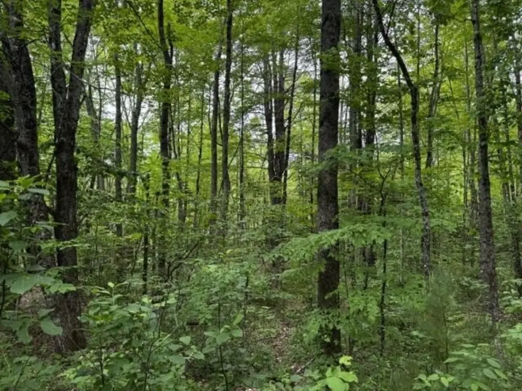 Picture 10