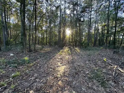 9 Acres Vacant Land Gilmer