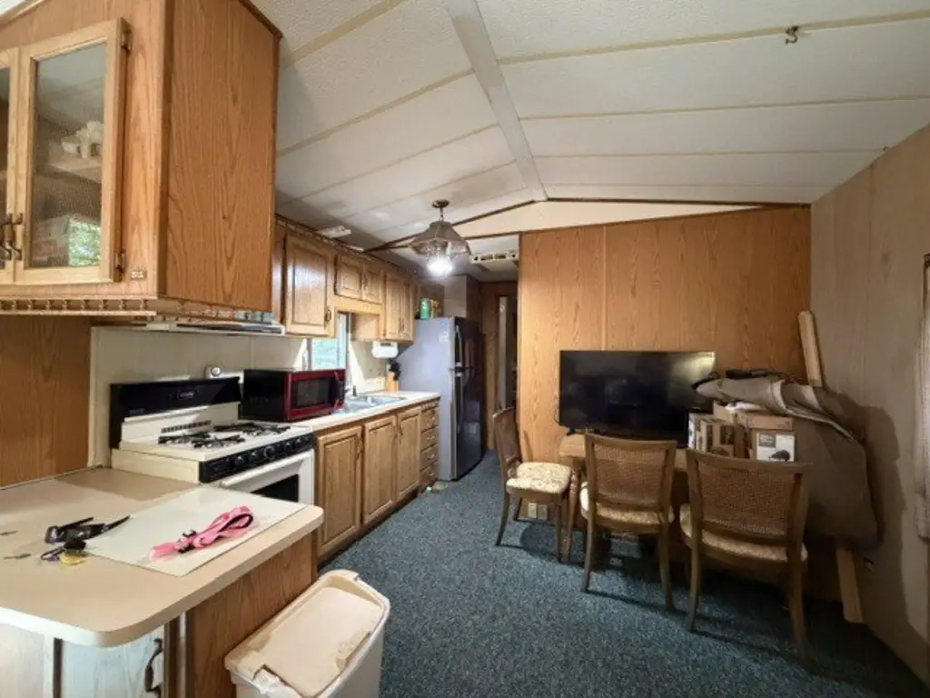 Picture 7