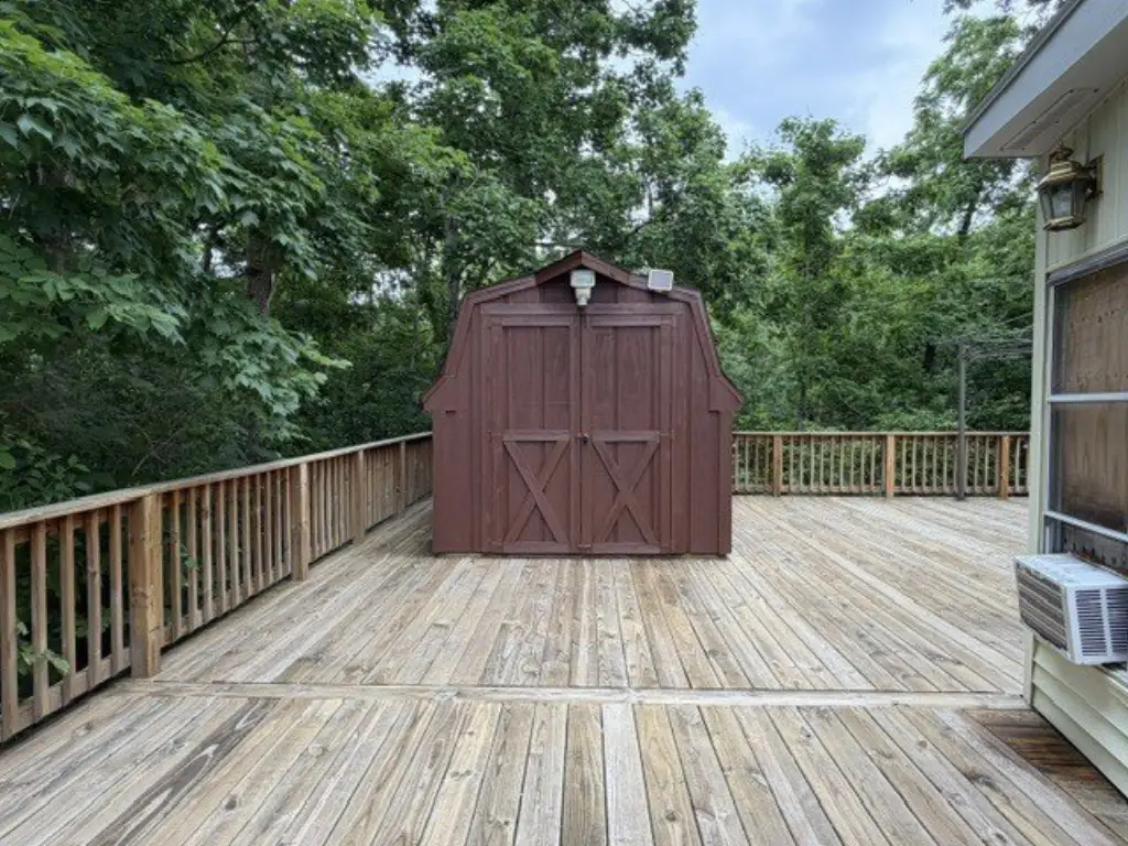 Picture 14