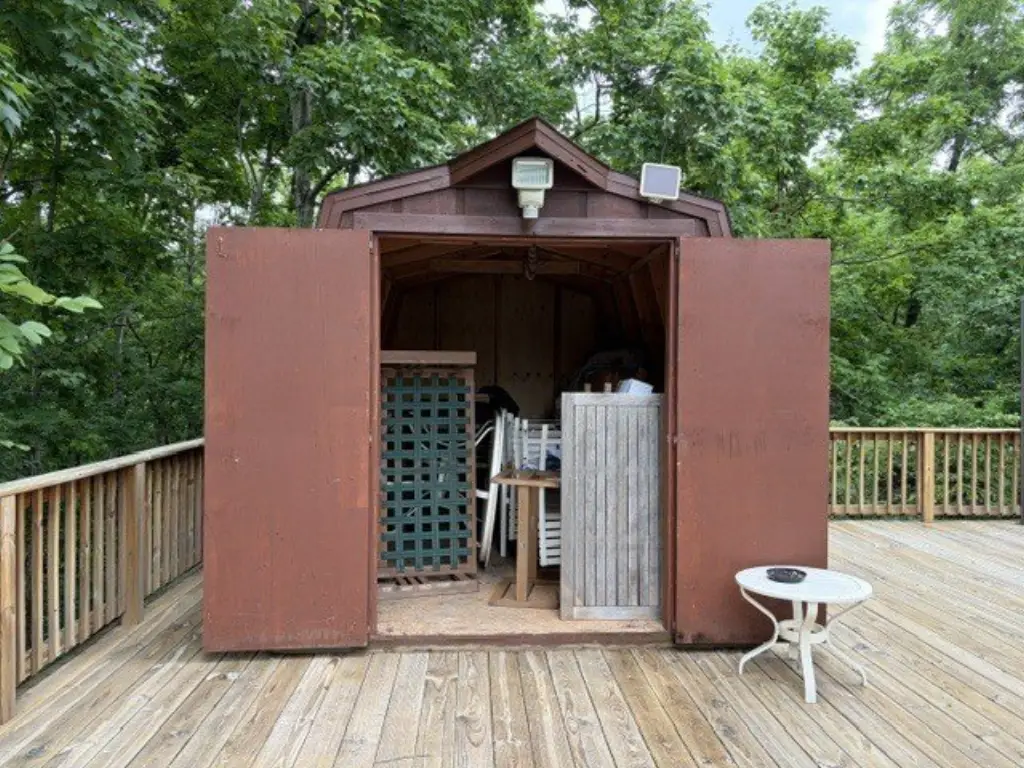 Picture 17