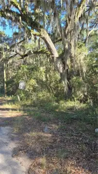 Residential Lot in Darien, GA