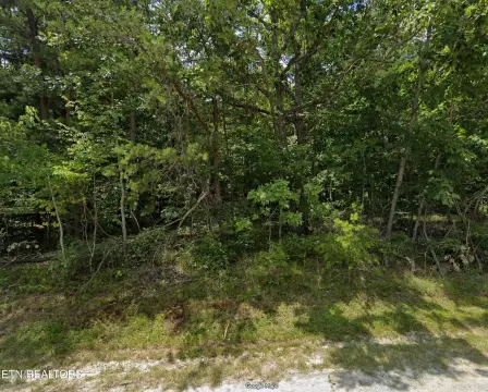 Residential Land in Crossville, TN