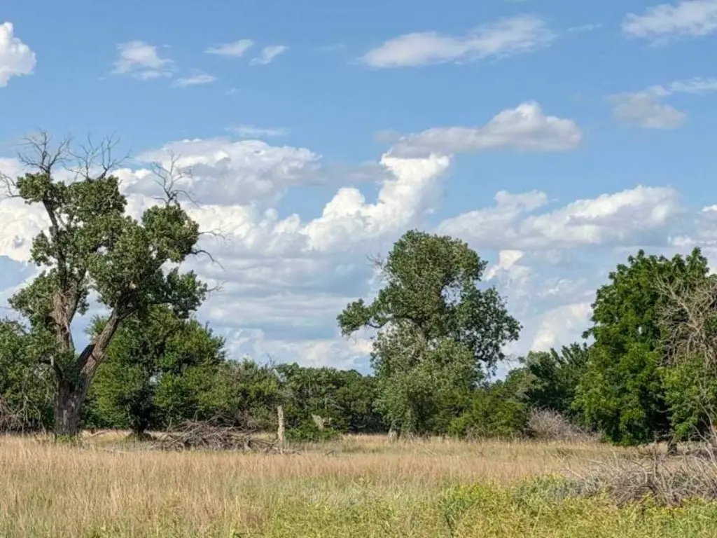 Picture 46