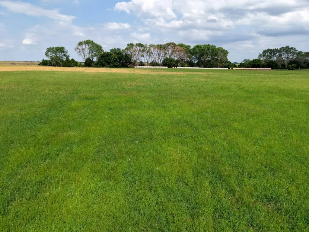 Picture 14