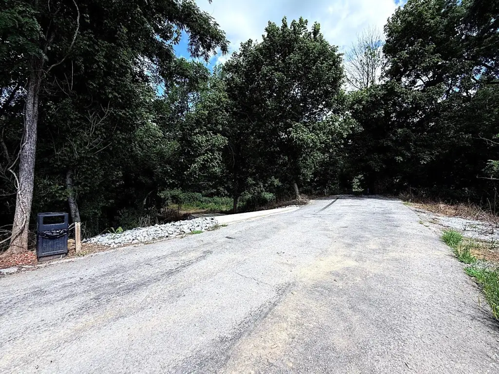 Picture 24