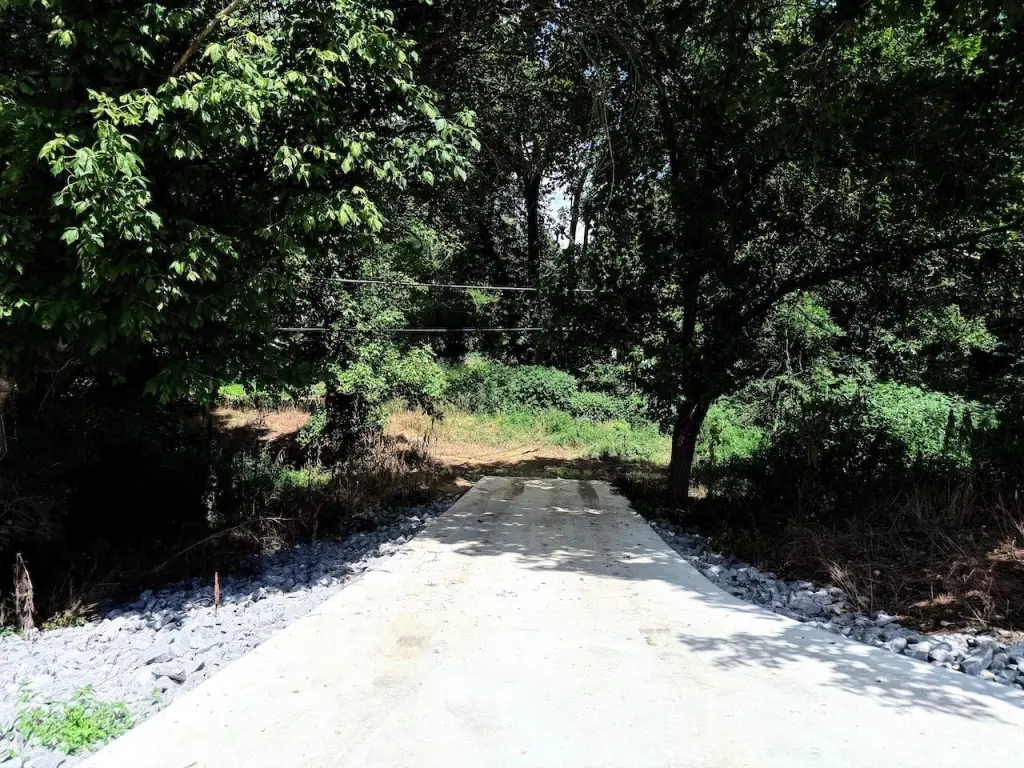 Picture 25